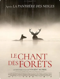 Cinéma Gourette : Le Chant des forêts