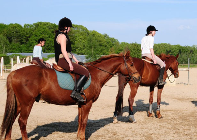 Centre équestre poney club des Vaseix