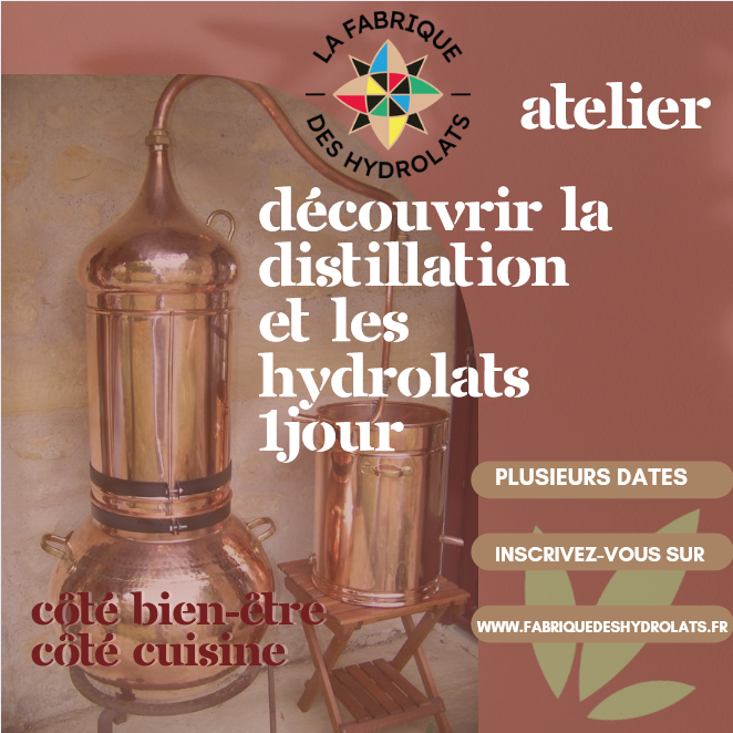 ATELIER DECOUVERTE DES HYDROLATS (DISTILLATION DE PLANTES)