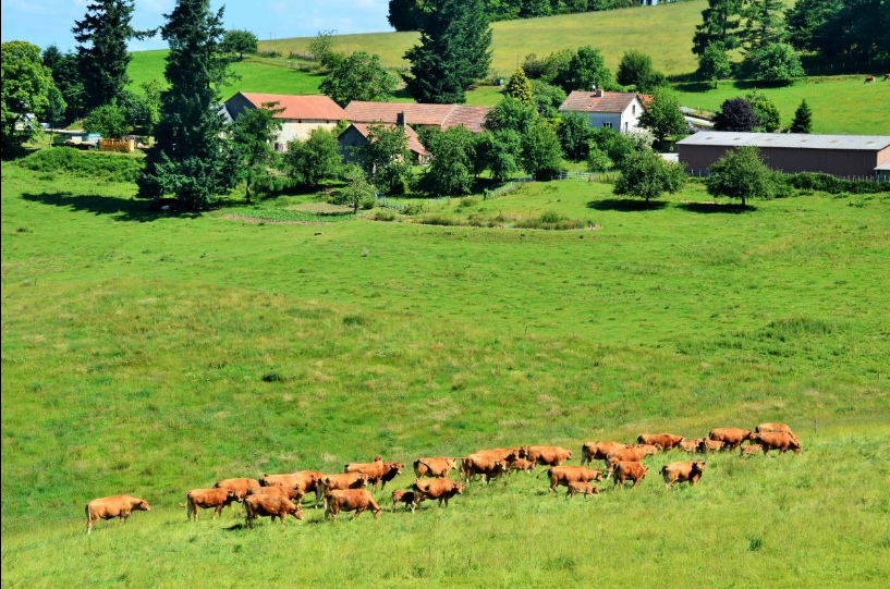 Gite du Piat, Faux-Mazuras - photo 7