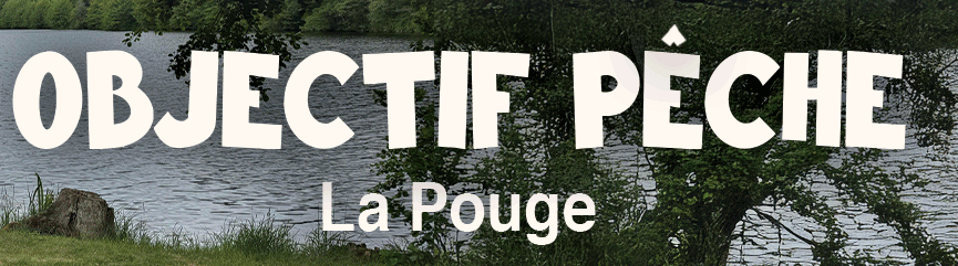 Pêche au coup, feeder et carpe sur l'étang de la Pouge, Saint-Auvent - photo 2