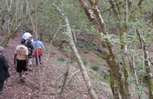 Les Mardis découverte " Le Vallon du Coulin", Onesse-Laharie - photo 2