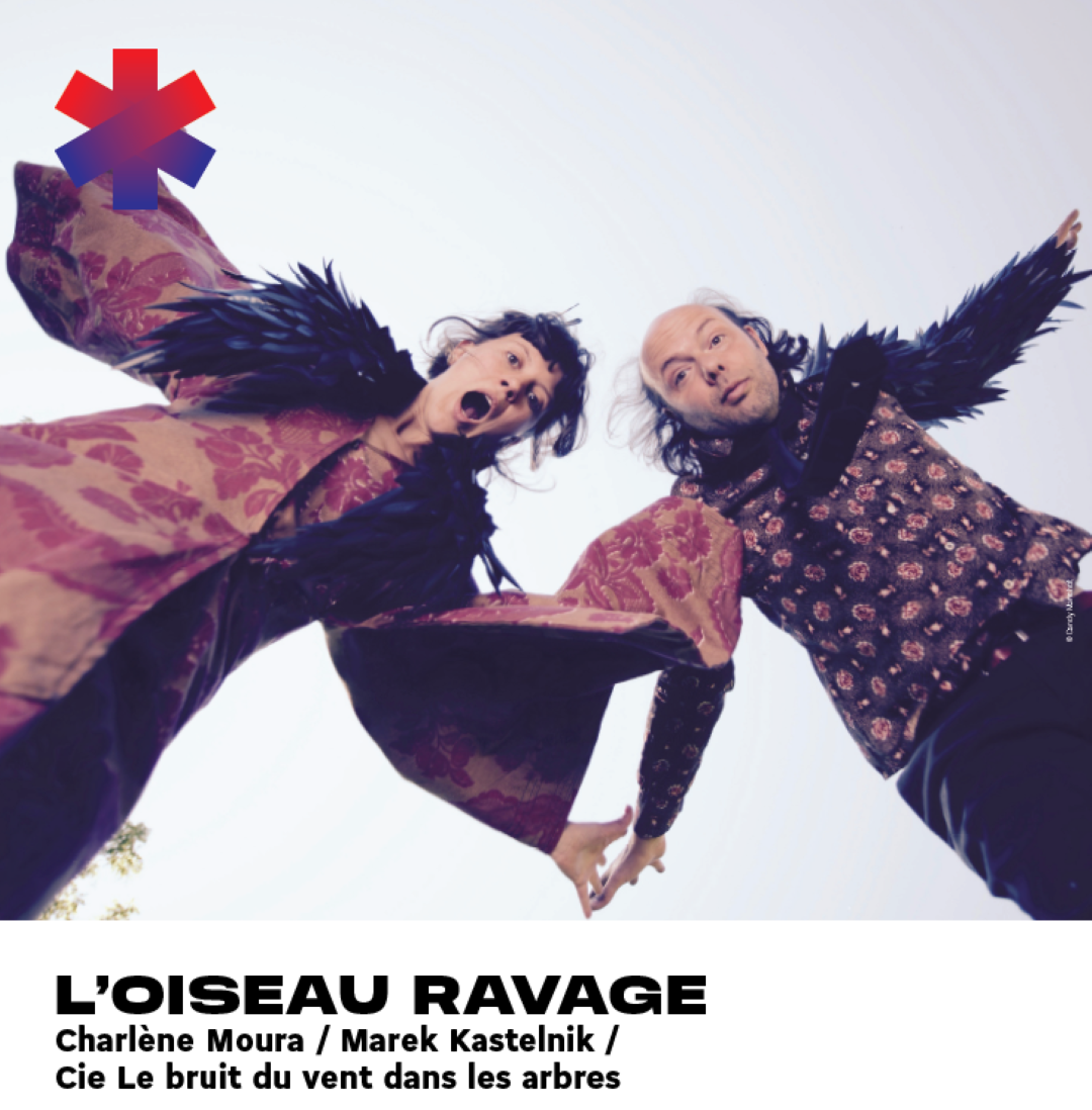 Musique "l'oiseau ravage"