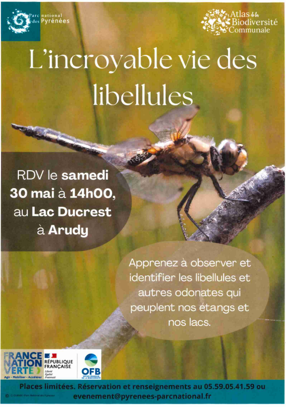 Fêtons la biodiversité - L'incroyable vie des libellules — visuel événement