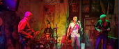 Concert - Ze Dogs et Yarol Poupaud