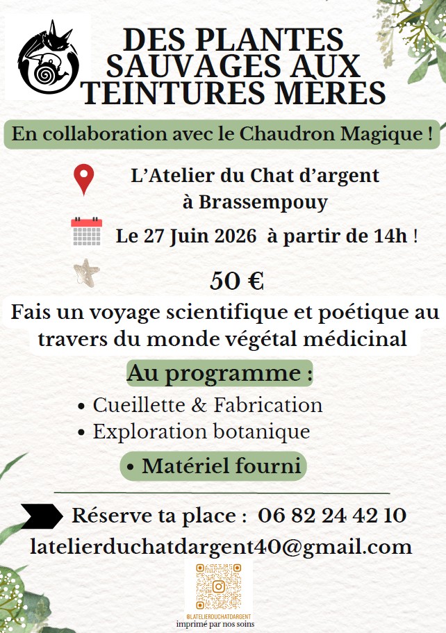 Des plantes sauvages aux teintures mères