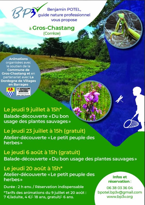 Balade découverte "Le bon usage des plantes sauvages"