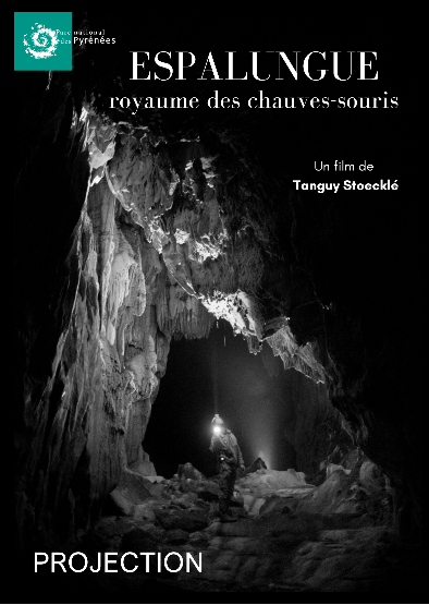 Projection - échanges : Espalungue, le royaume des chauves souris