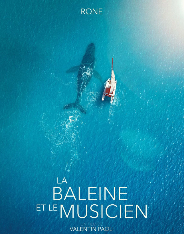 Cinéma Arudy : La Baleine et le musicien