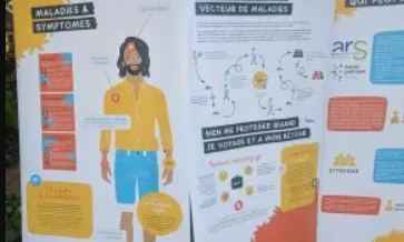 Exposition - Le moustique tigre - Bibliothèque Francophone Multimédia Limoges