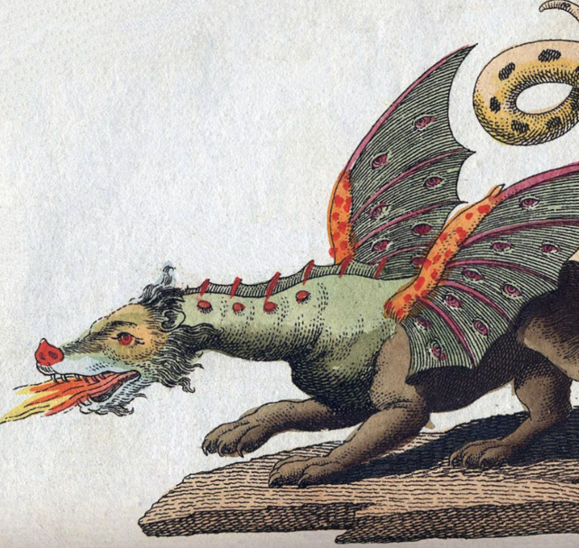 Animation : Et toi, quel est ton dragon ?