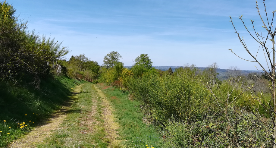 La Chapelle des Deux Egaux — photo 2