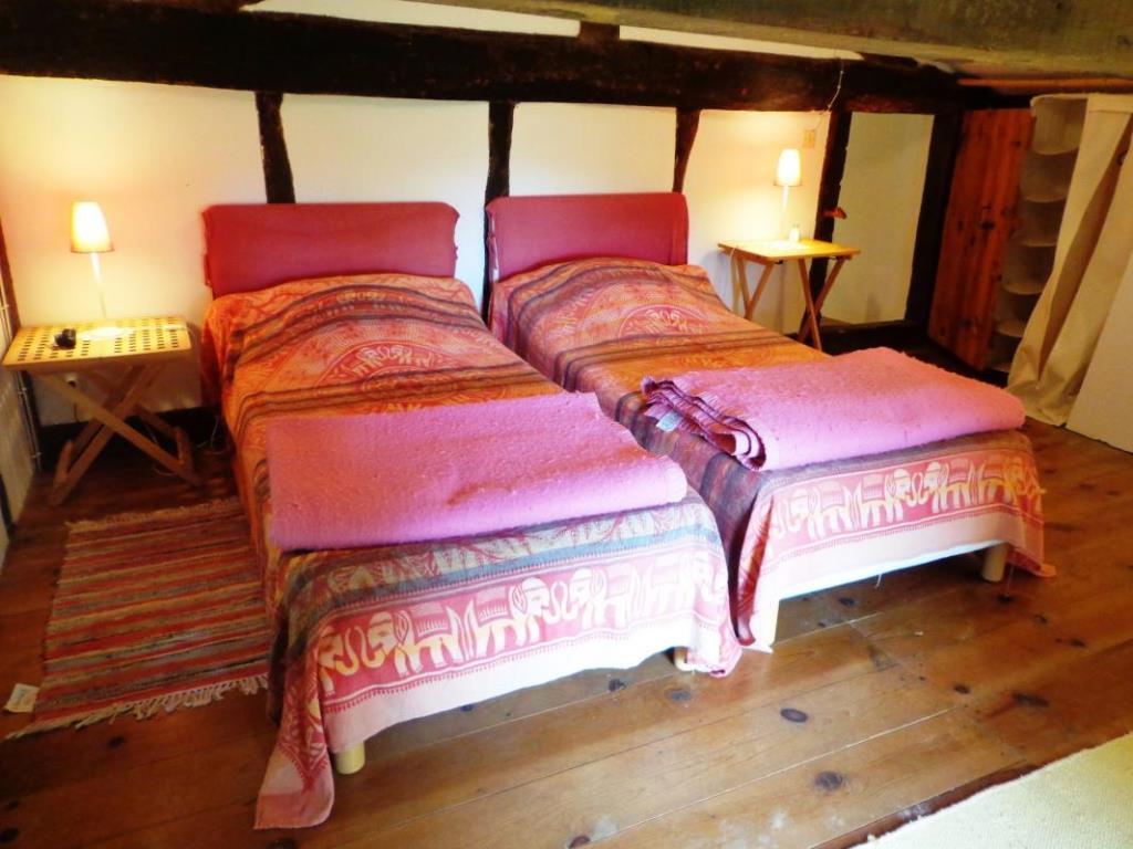 Tuyon - Ferme Landaise - photo 2