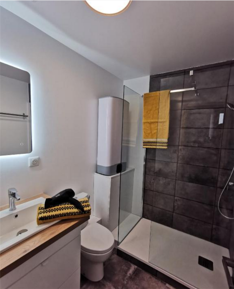 Les appartements du centre : le Carmin