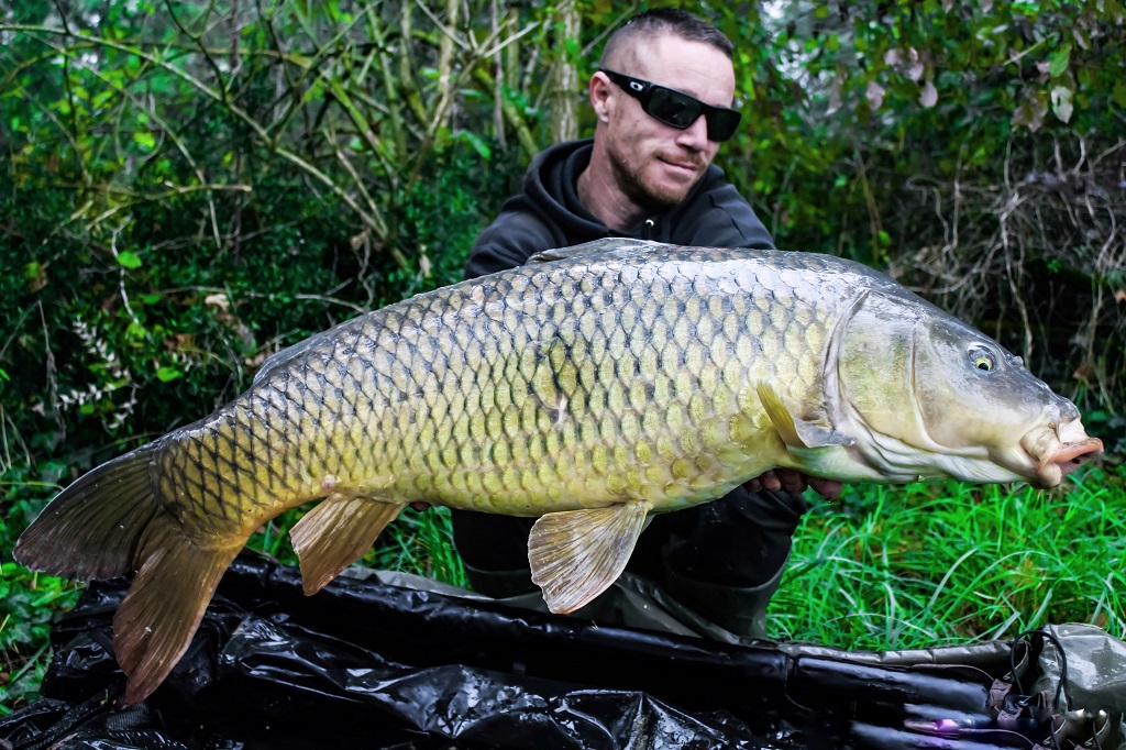 Parcours carpe de nuit de l'Adour à Laurède