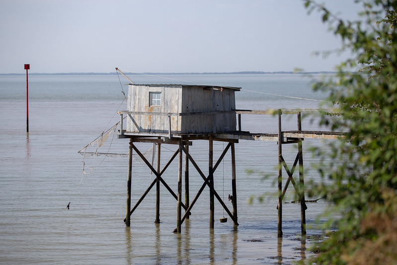 Tour de Gironde à vélo : étape 12 - Royan / Mortagne-sur-Gironde, Blaye - photo 3