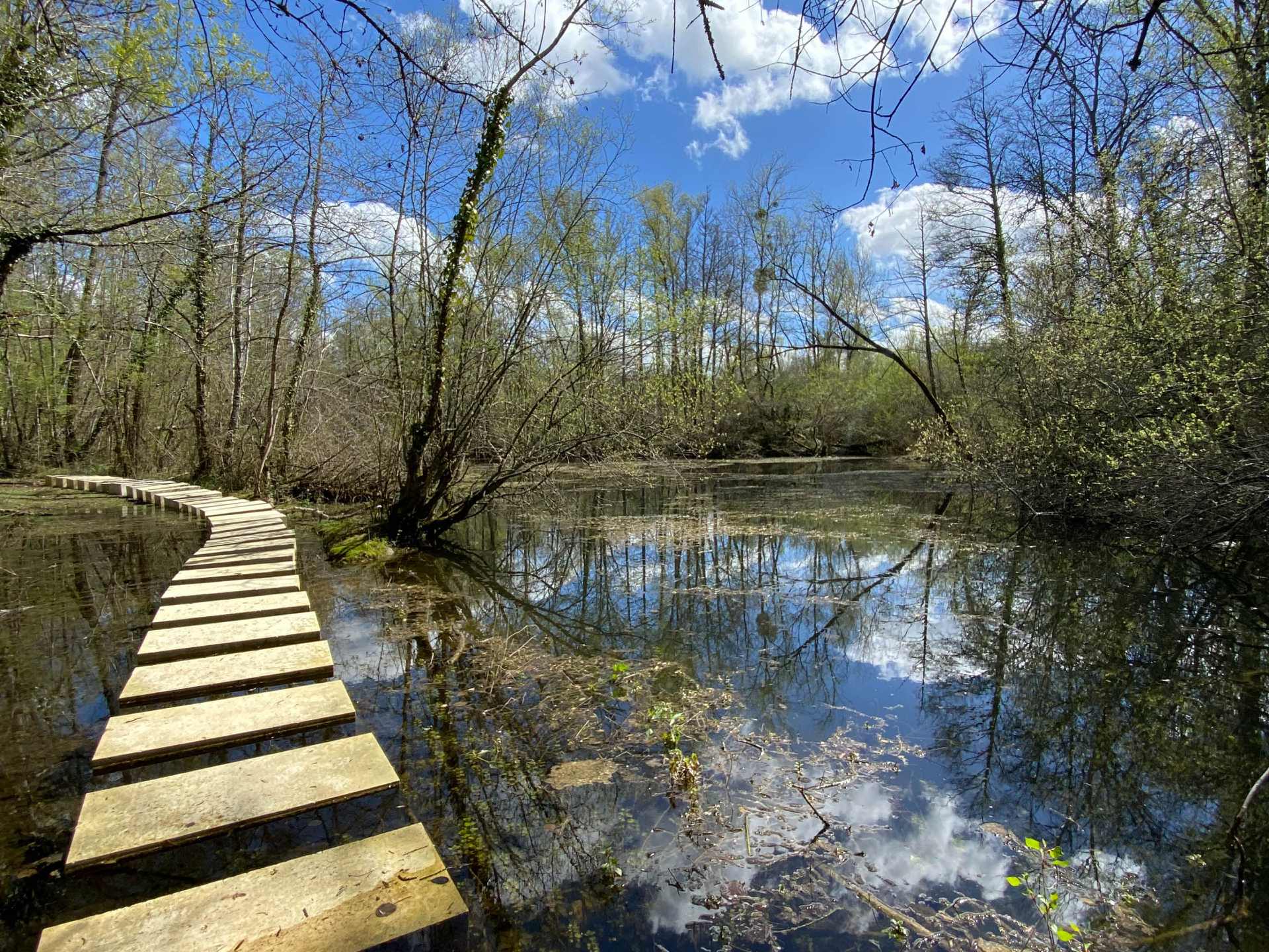 Carrière de Jeandillon - photo 2