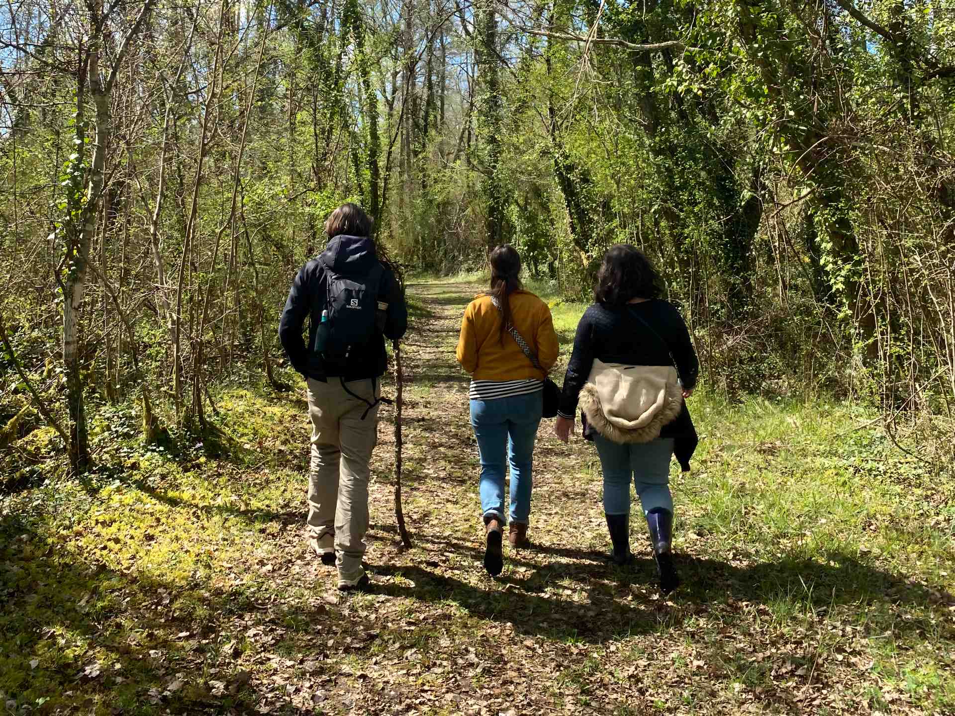 Carrière de Jeandillon