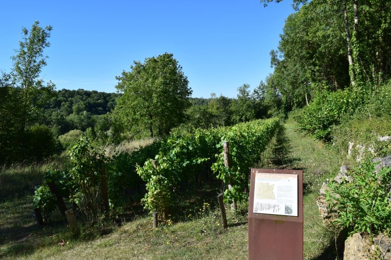 Espace naturel sensible - La carrière de Ricou, Azay-le-Brûlé - photo 3