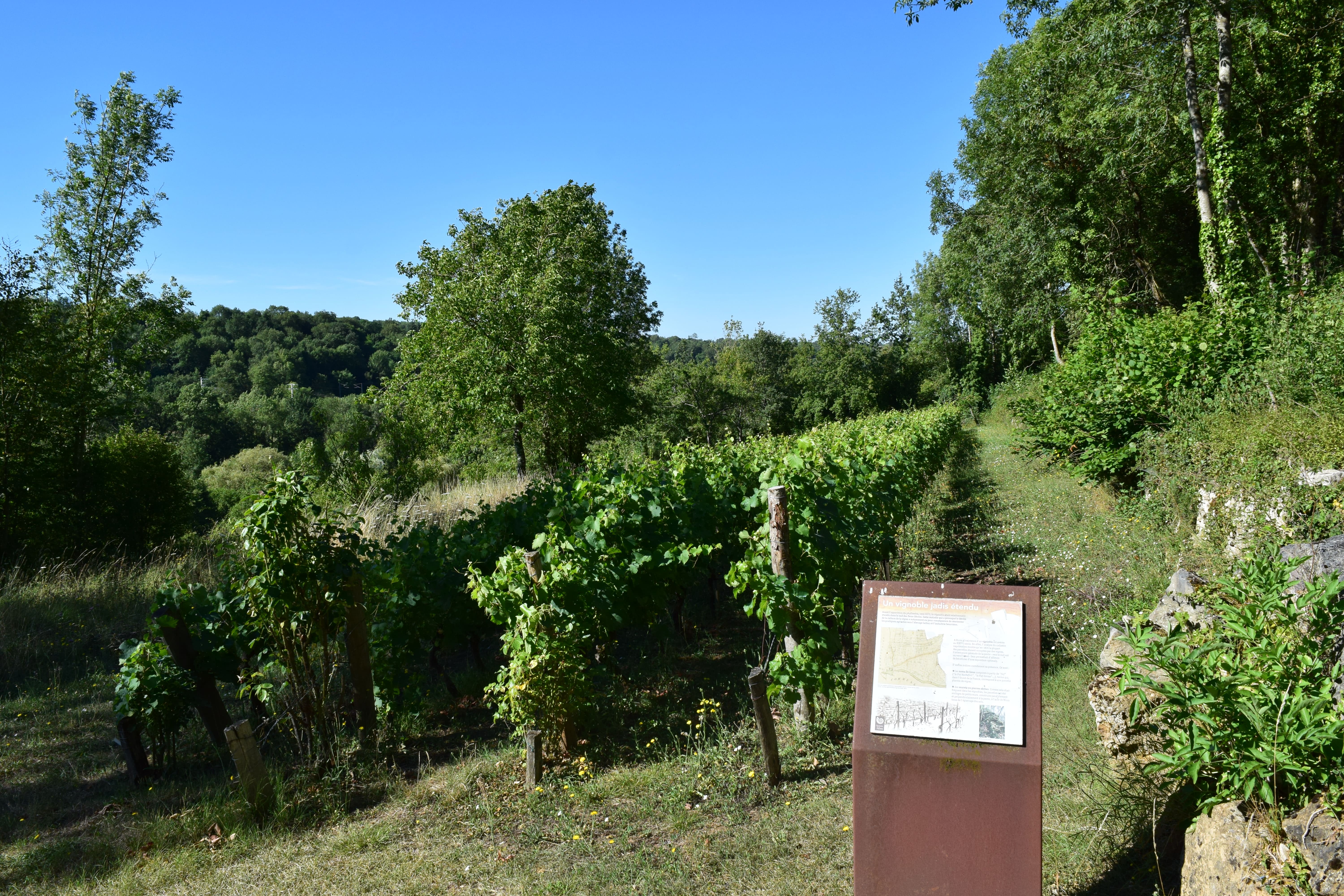 Carrière de Ricou, Azay-le-Brûlé - photo 6