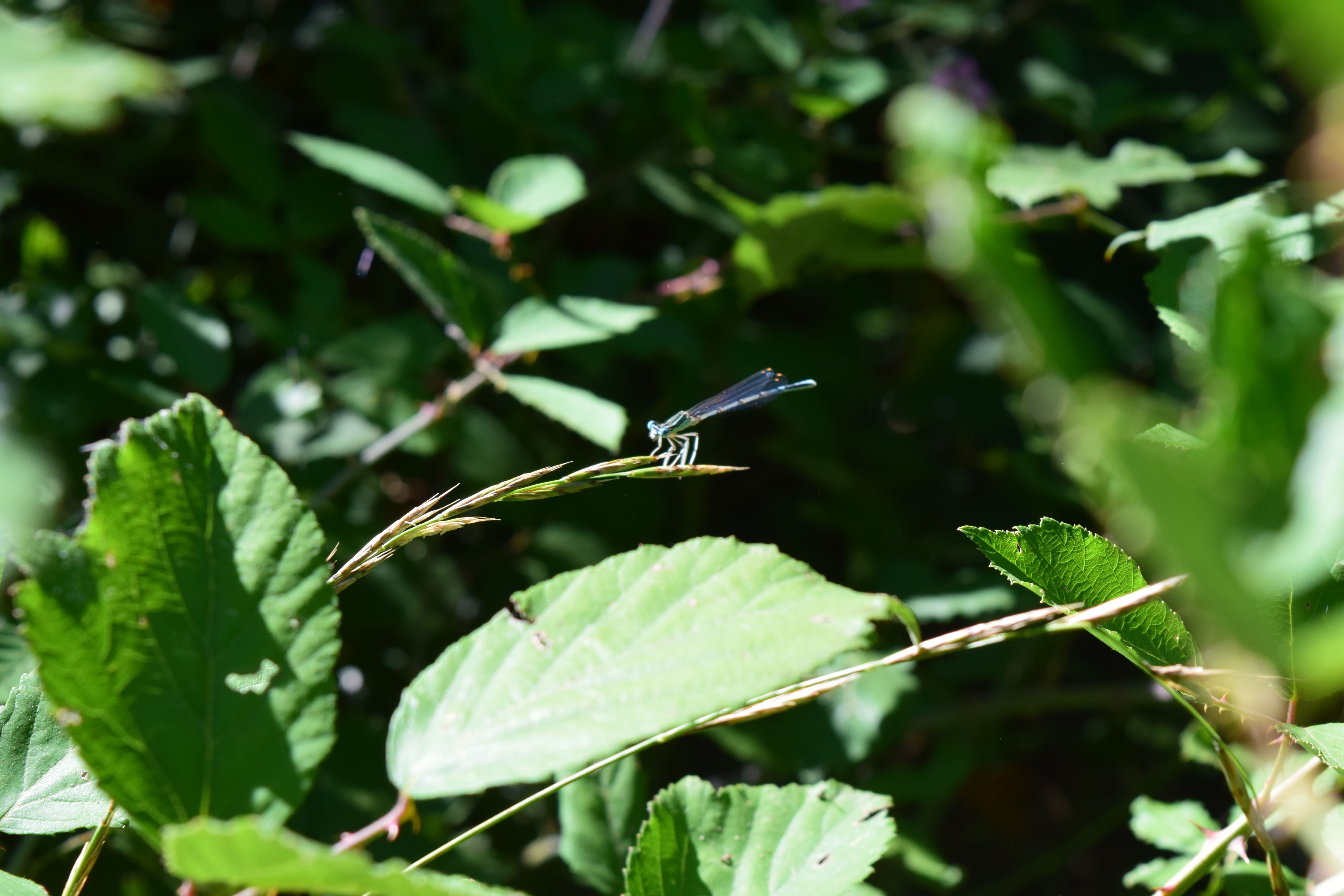 Carrière de Ricou - photo 4