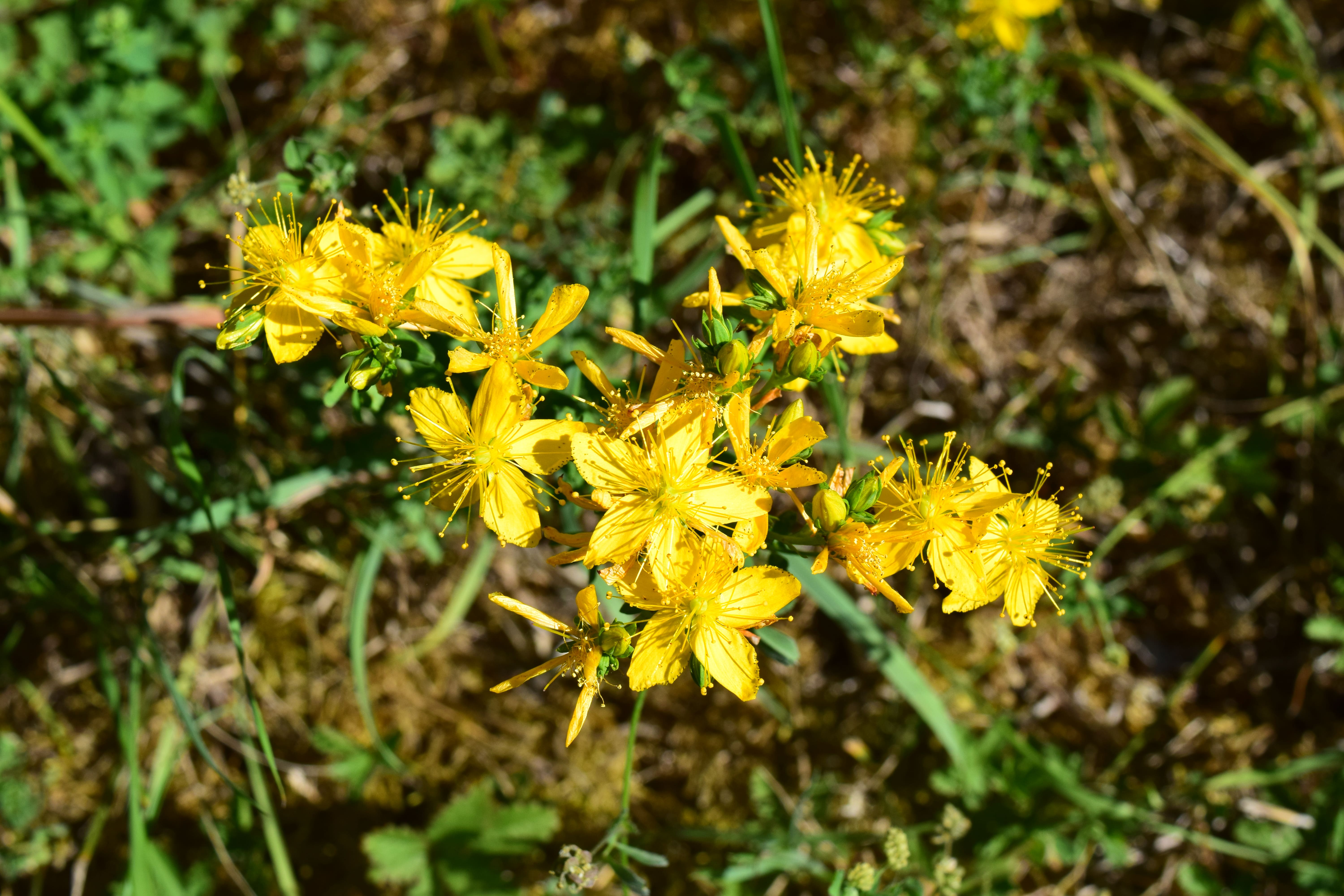 Carrière de Ricou - photo 3