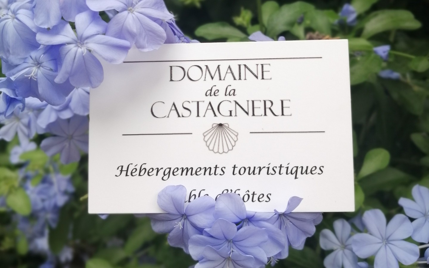 Domaine de la Castagnère, Castetnau-Camblong