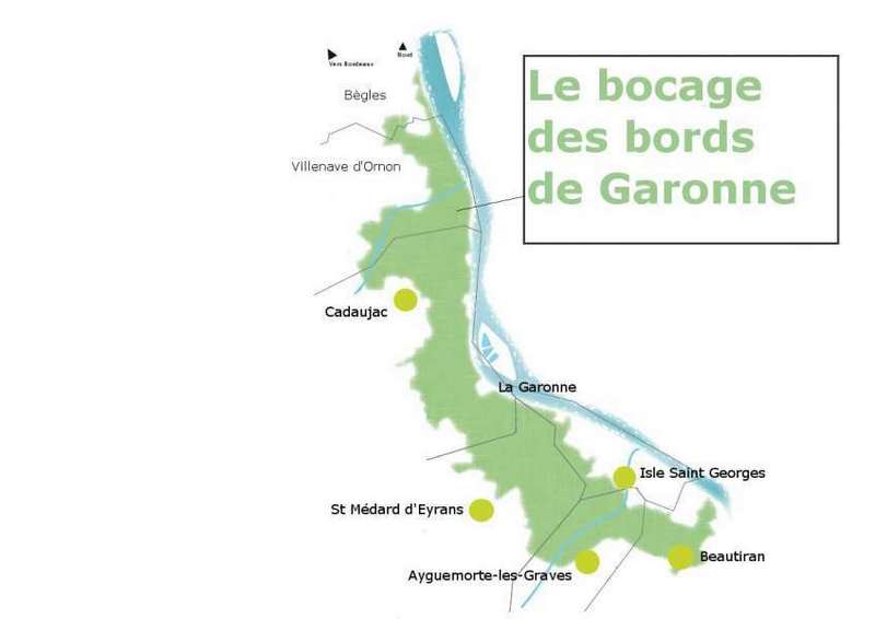 Bocage humide des bords de Garonne, Cadaujac