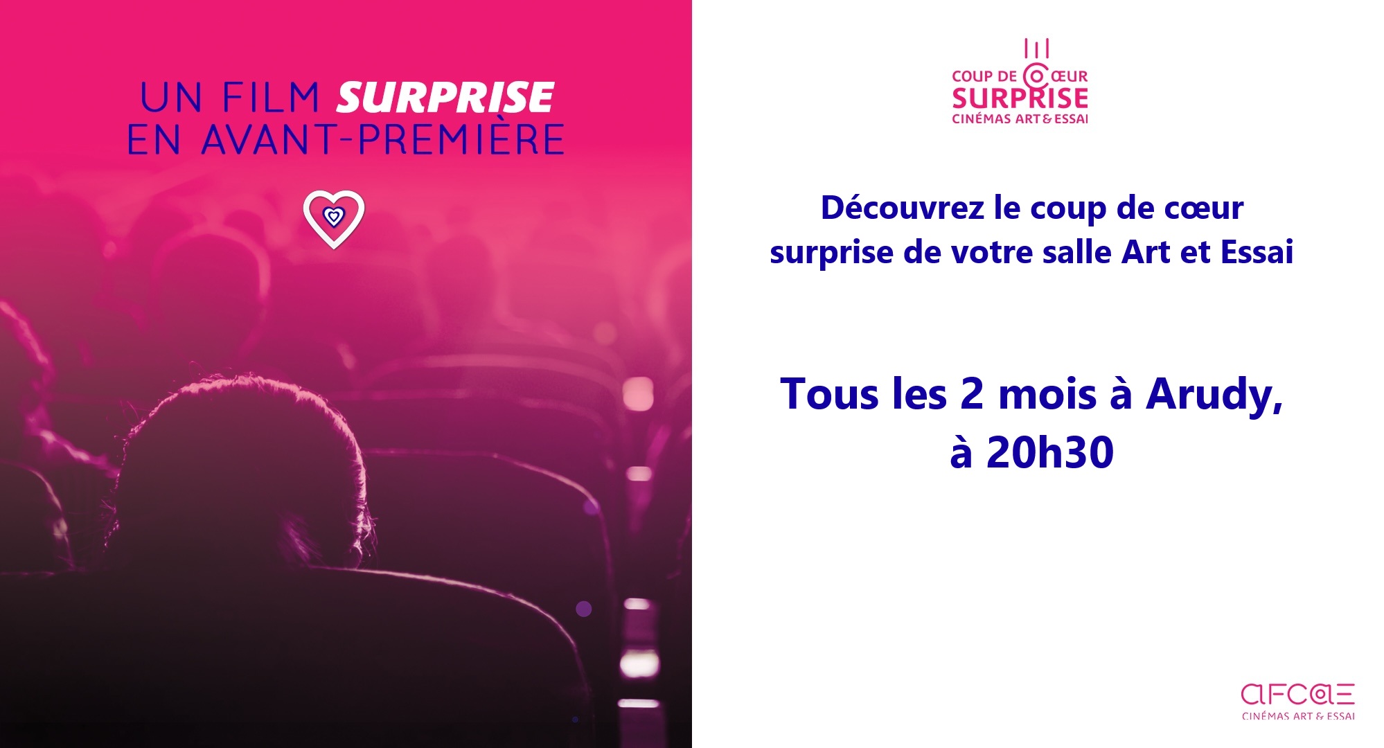 Cinéma Arudy : Avant première surprise ! - Coup de coeur AFCAE — visuel événement