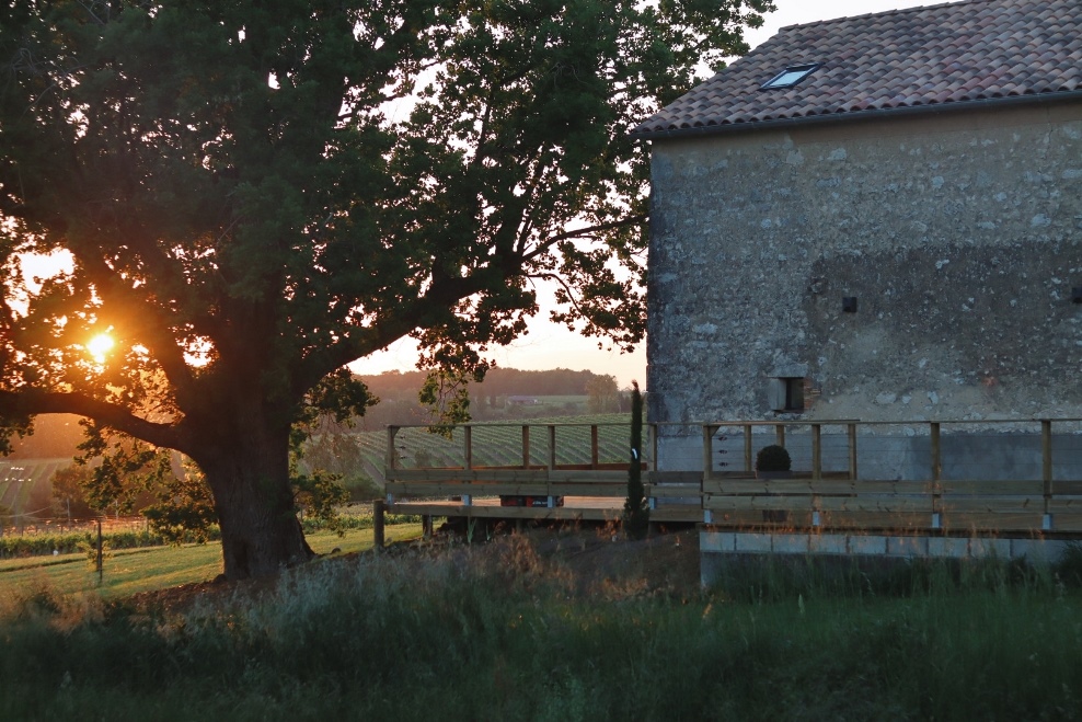 Casa Batoca, Villeneuve-de-Duras - photo 21