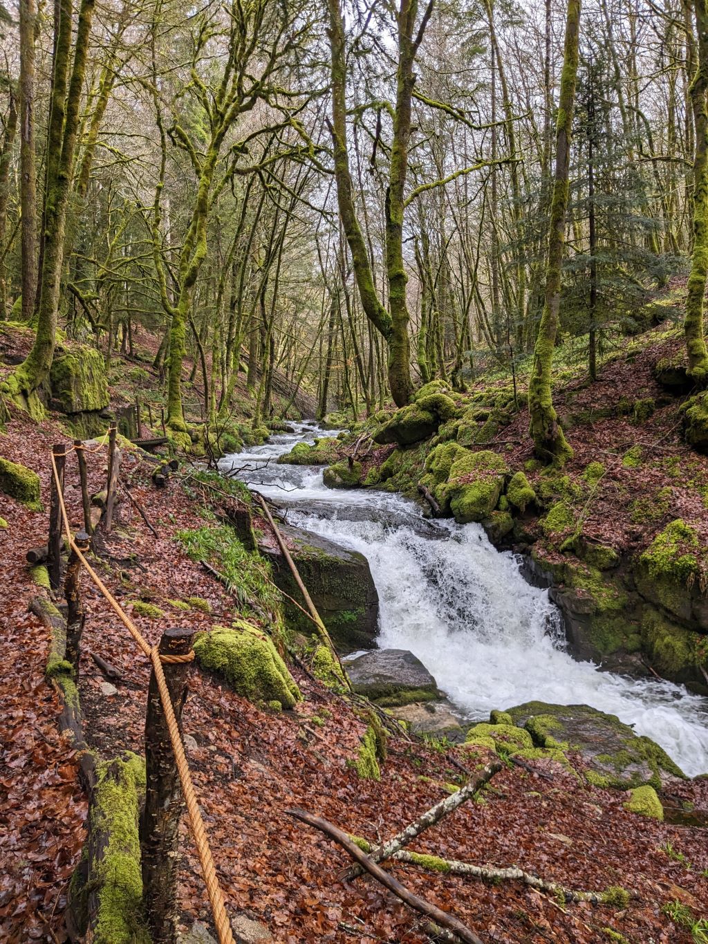 La Cascade de la Tine, Pradines - photo 5
