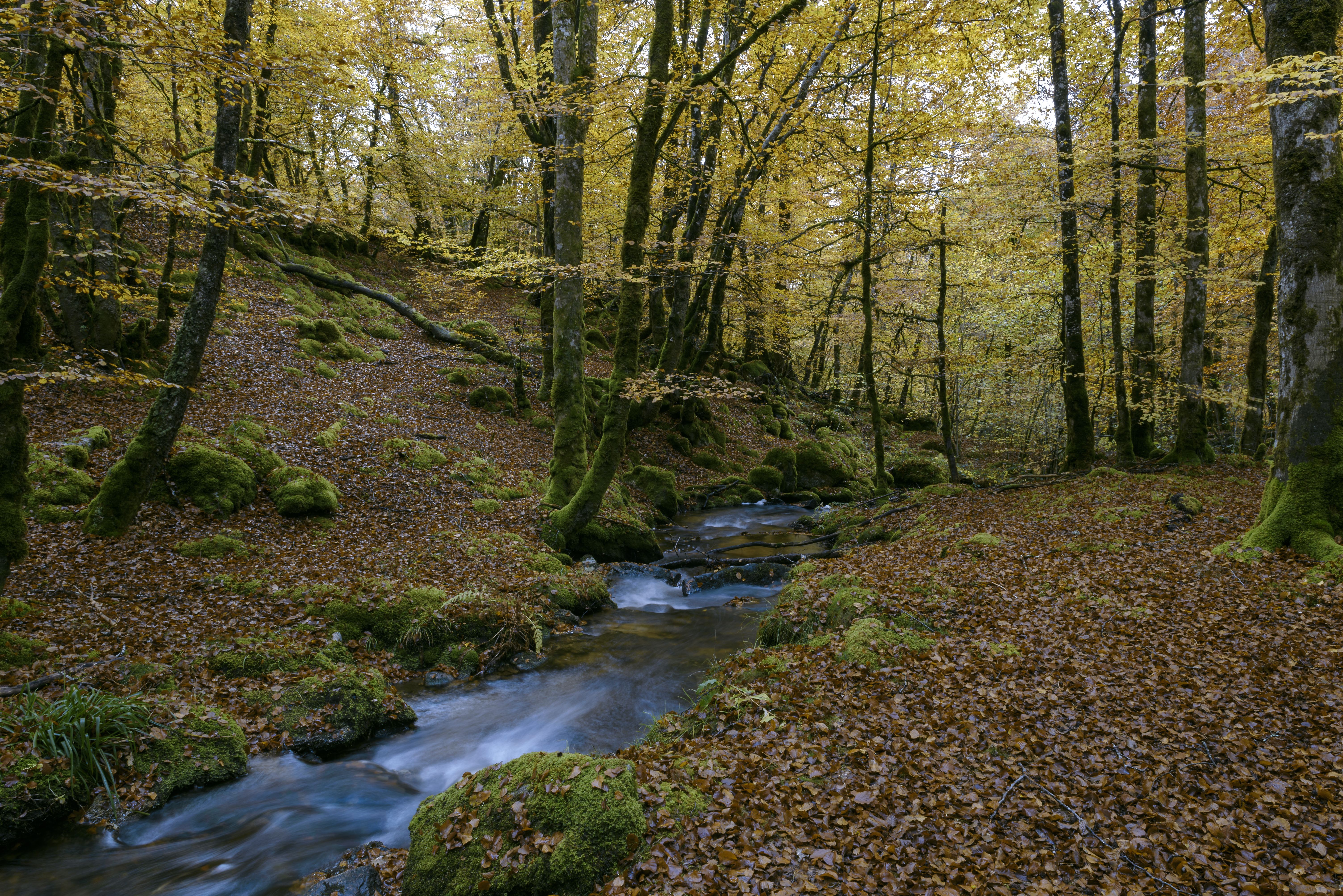La Cascade de la Tine, Pradines - photo 2