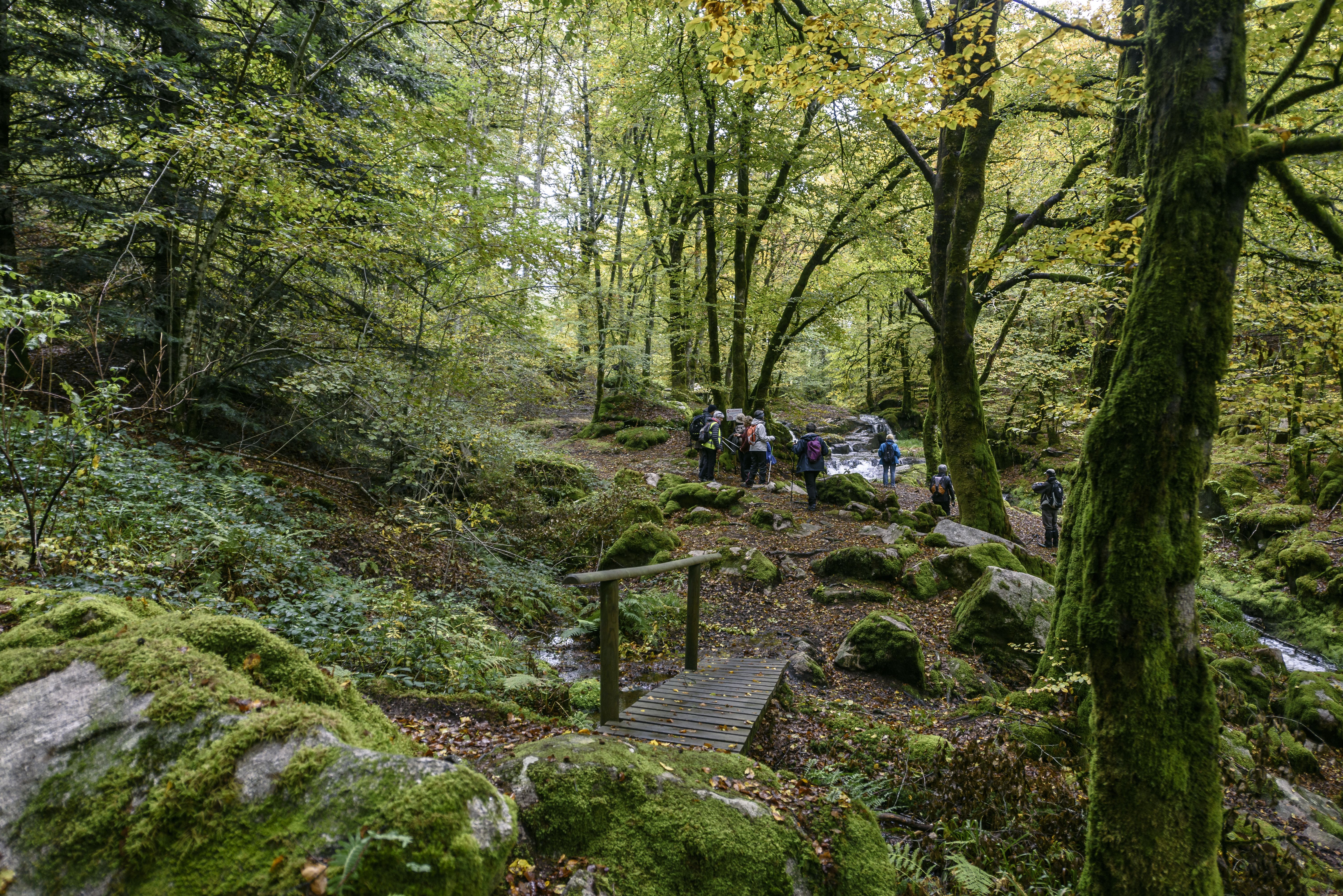 La Cascade de la Tine, Pradines - photo 4