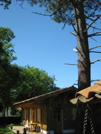 La Cabane du Résinier, Vielle-Saint-Girons - photo 4