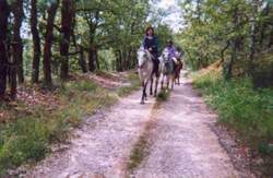 La Vallée des Châteaux à cheval - Poney Club