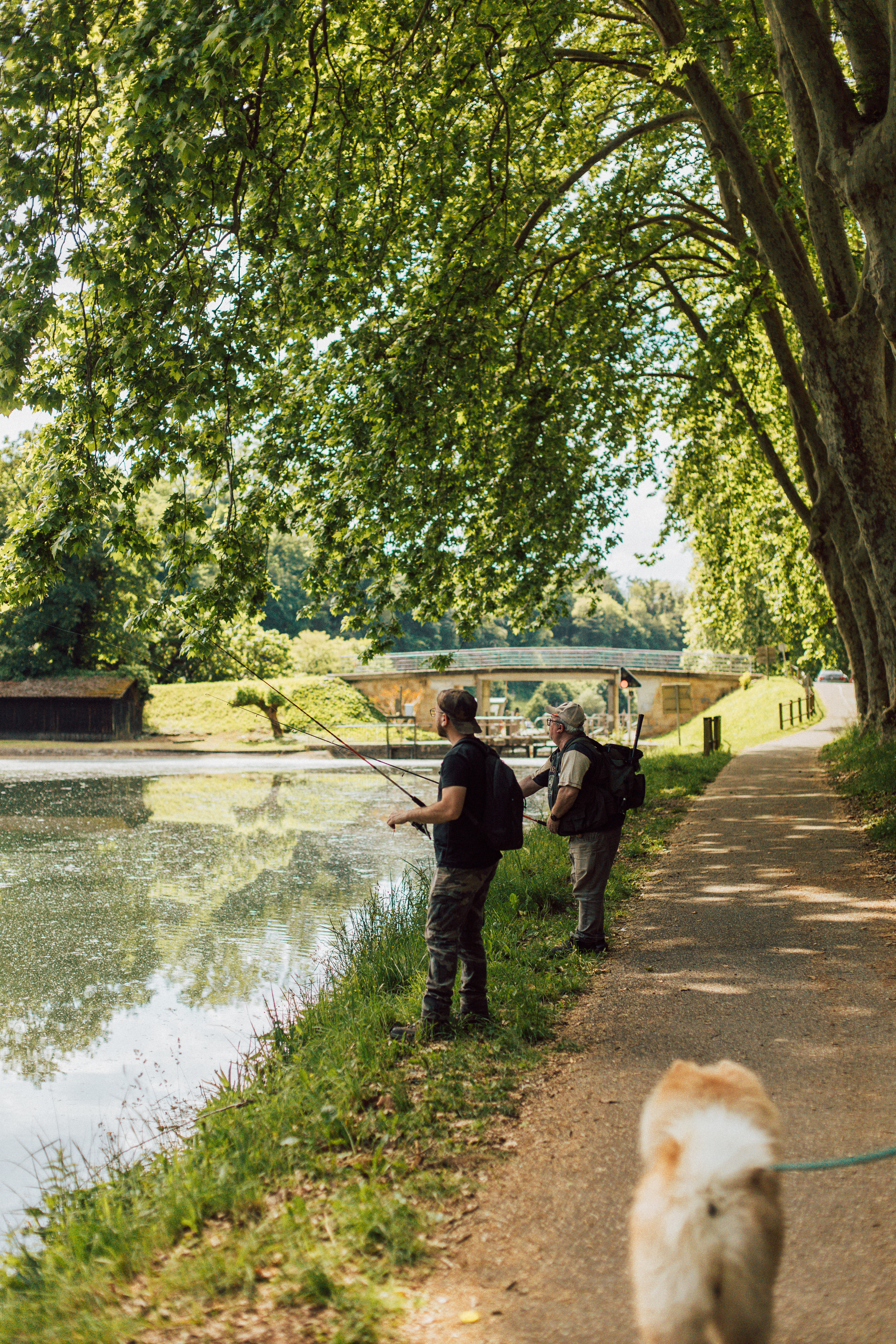 Canal de Garonne, Castets et Castillon - photo 5
