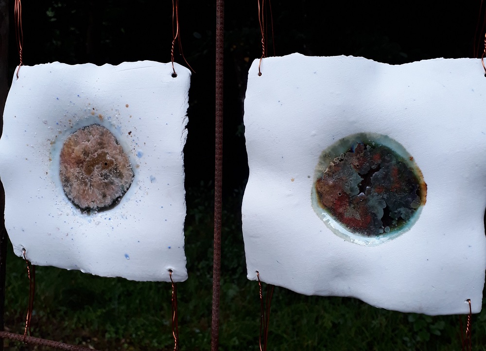 Atelier du Brin d'herbe - photo 3