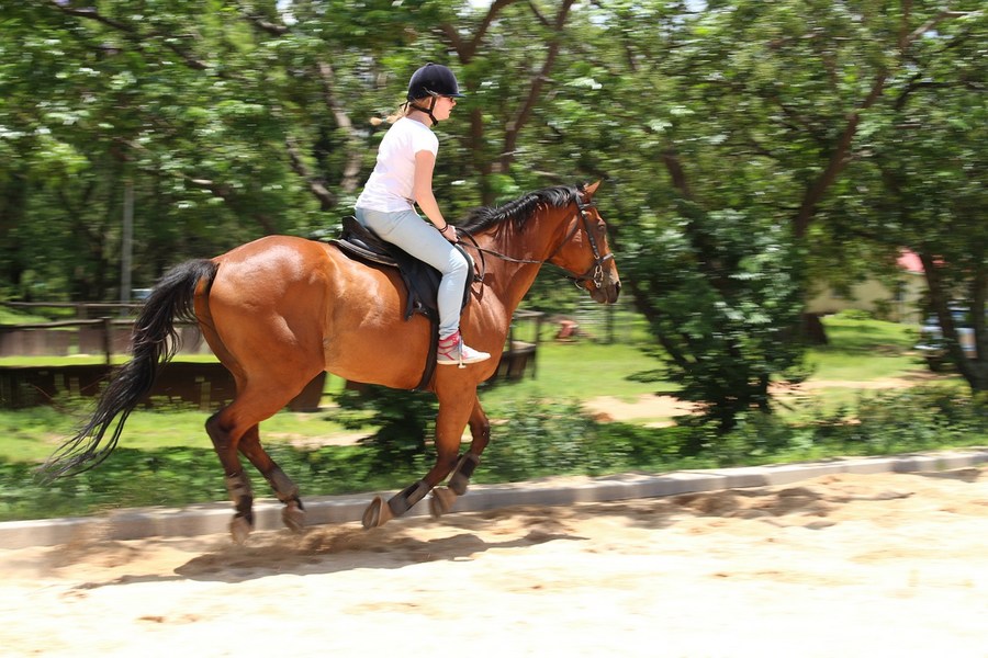 Ferme Equestre de Bertron