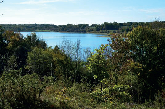 Cavarc, la balade de la Nette