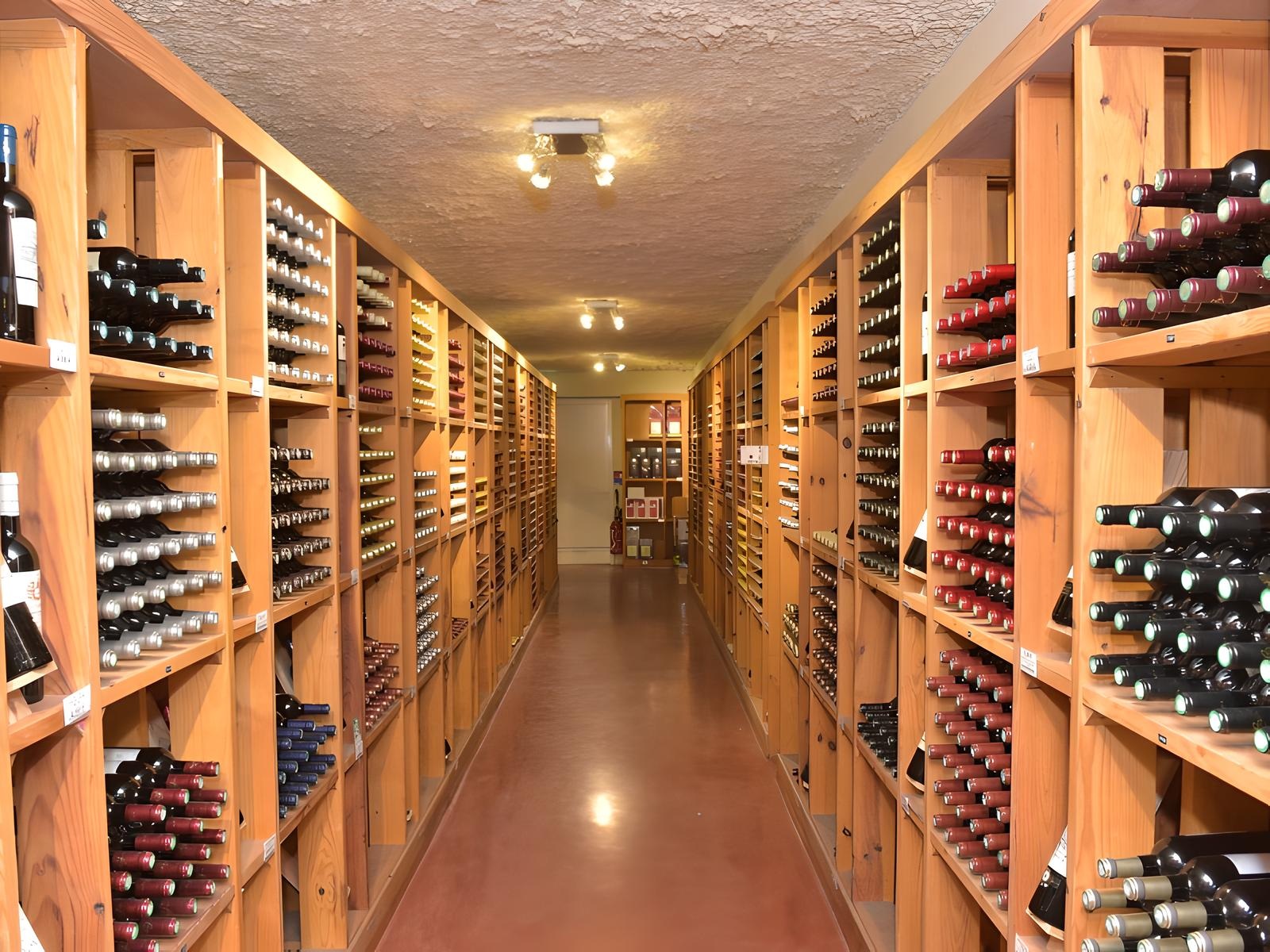 Planète Bordeaux – La Cave des Bordeaux, Beychac-et-Caillau - photo 4