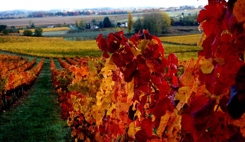 Cave : Les Marmandais ! - photo 2