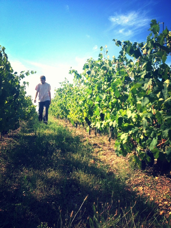 Cave : Les Marmandais ! - photo 5