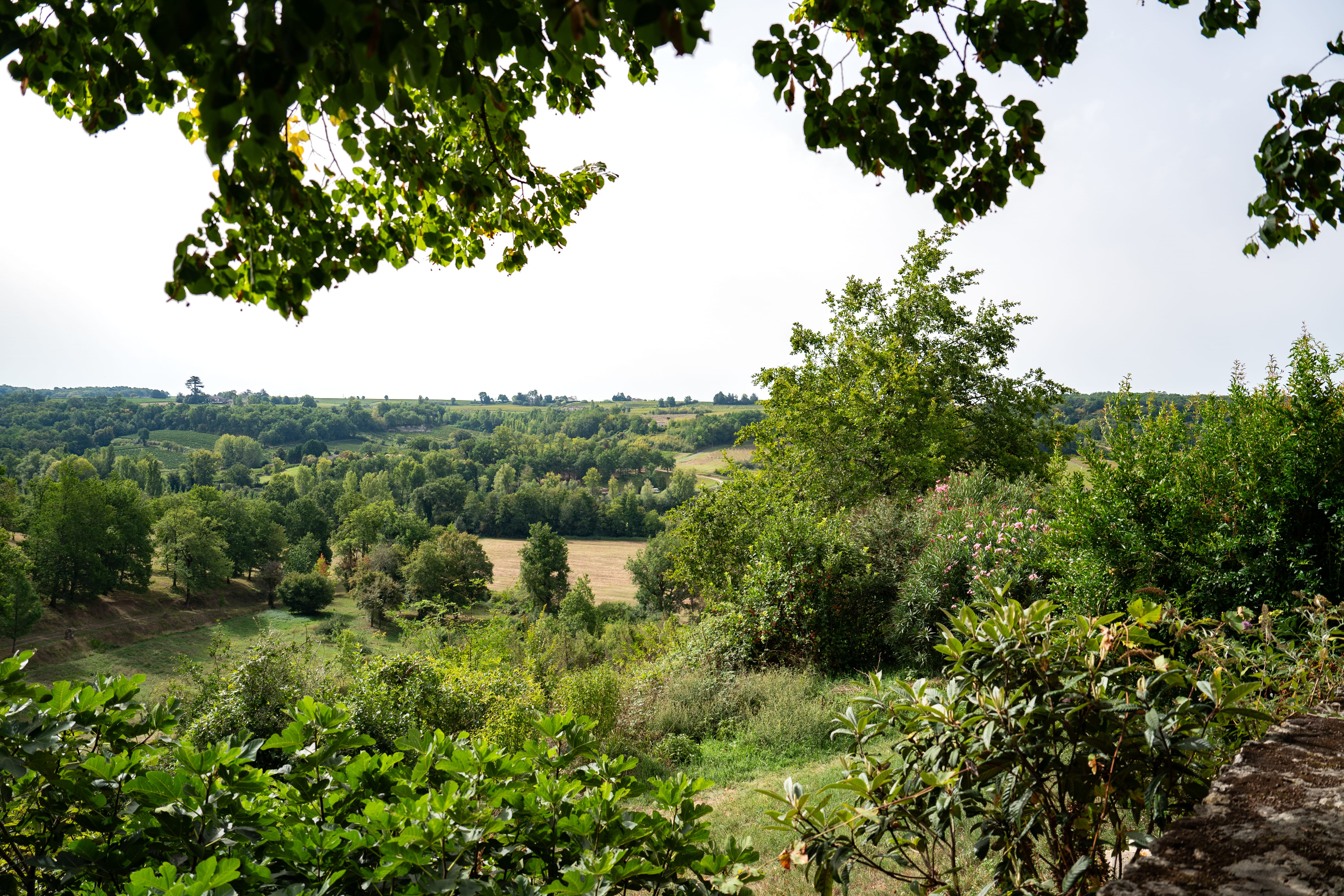 Centre des sources