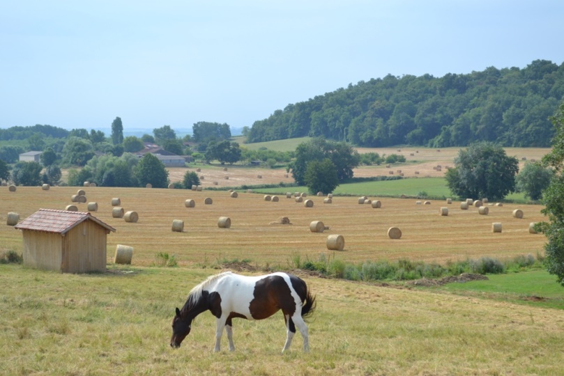 Le Vallon de Guerry, Sainte-Colombe-de-Duras - photo 2