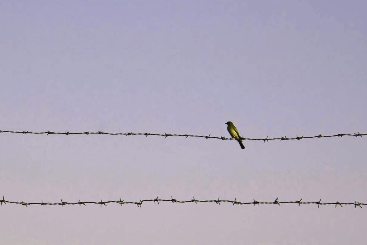 Espace Noriac - Cendrillon