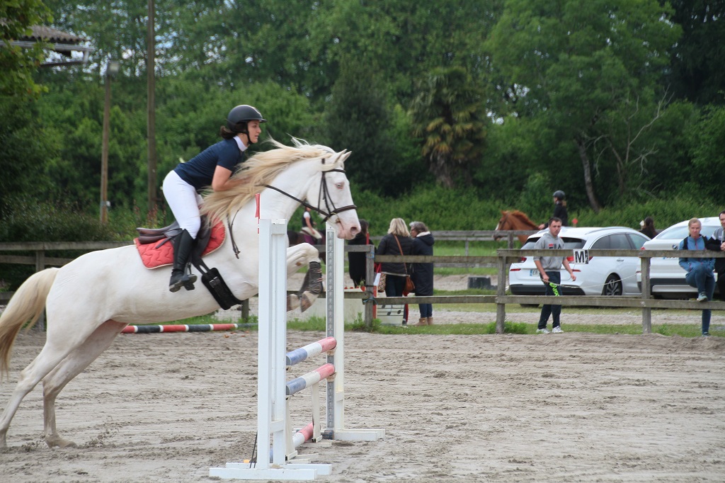 Ecole d'équitation du Menusé St Jean de Marsacq