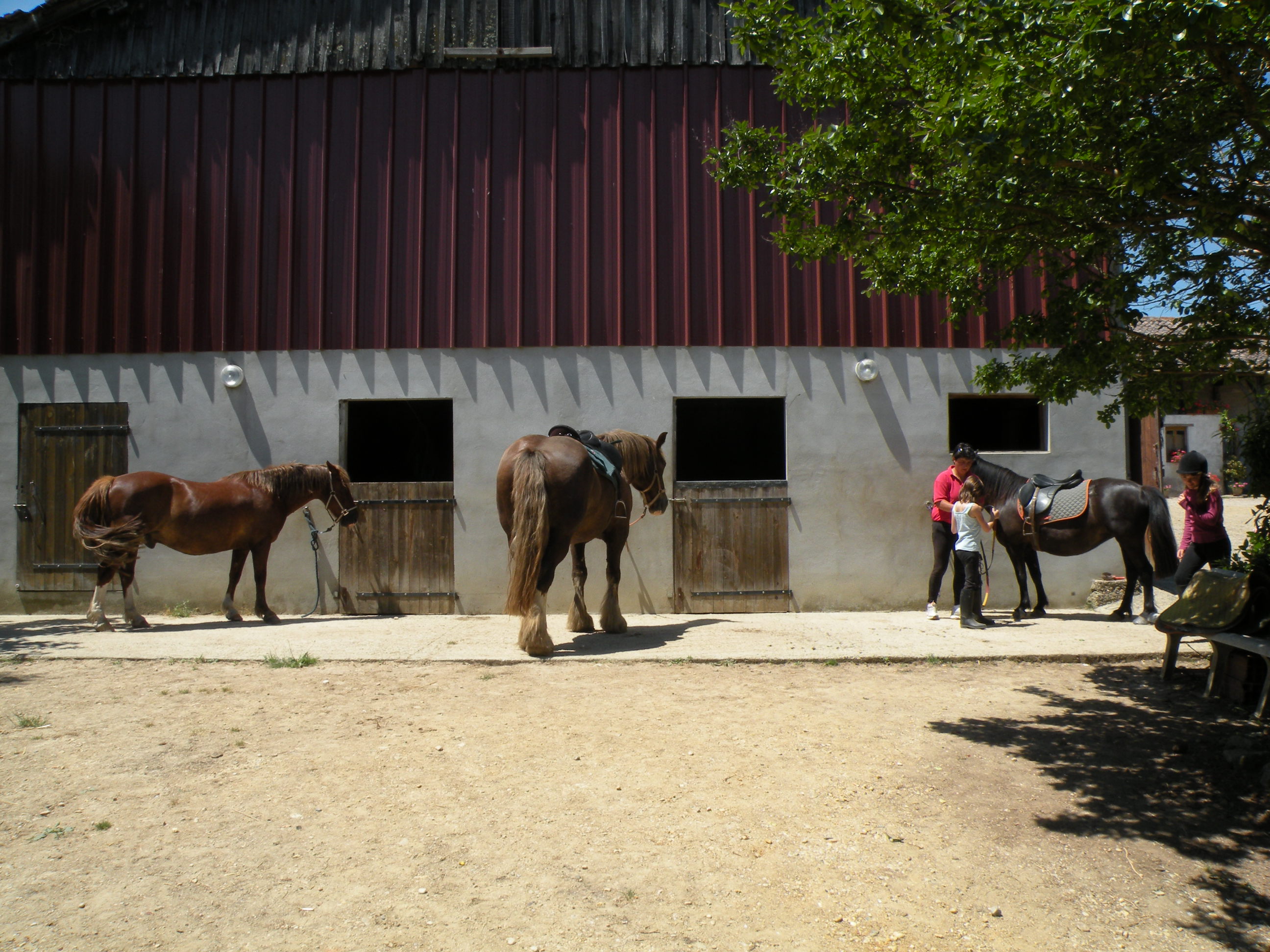 Randonnées Equestres de Claverie