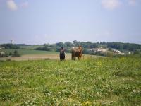 Centre équestre de Gabaurias