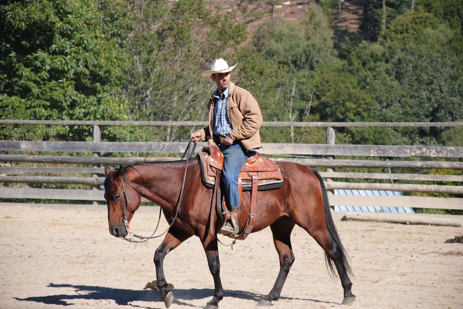 Centre équestre - Ranch Tashunka