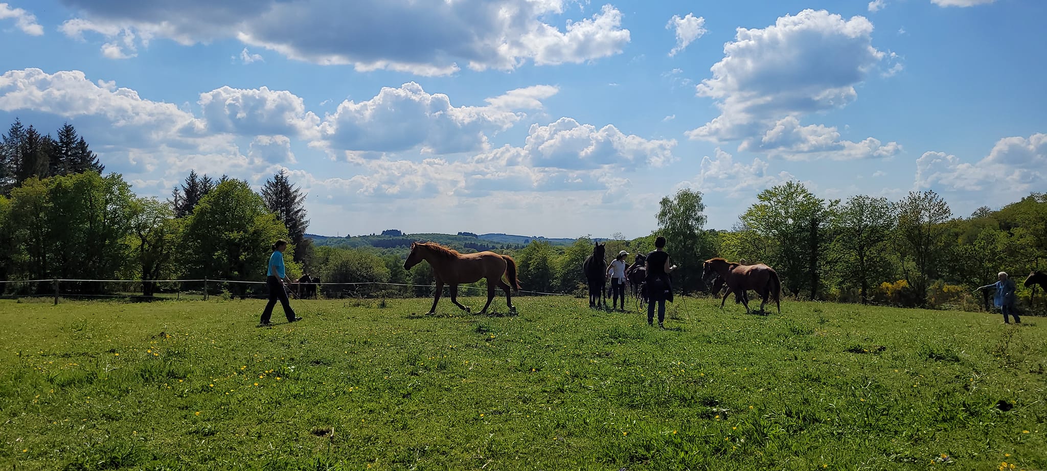 Centre équestre - Ranch Tashunka — photo 3